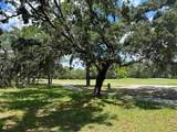 13 Deerwood Drive - Photo 3