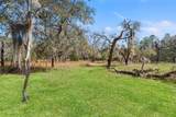 12222 Beagle Road - Photo 48