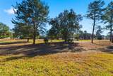 9255 Southern Charm Circle - Photo 27