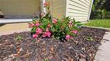 4914 Sherrell Drive - Photo 16