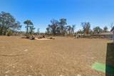11202 Horned Owl Road - Photo 44
