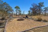 11202 Horned Owl Road - Photo 45
