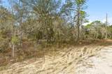  Cayman Road - Photo 3