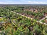  Chimney Swift Road - Photo 10