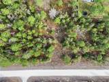  Chimney Swift Road - Photo 11