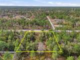  Chimney Swift Road - Photo 12