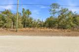  Chimney Swift Road - Photo 4