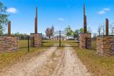 27001 Baxter Street - Photo 2