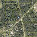  Culbreath Road - Photo 2