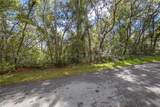 3210 Michael Street - Photo 4