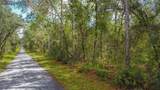 3210 Michael Street - Photo 5
