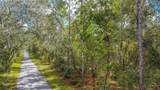 3210 Michael Street - Photo 6