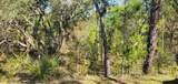 Lot 56 Michigan Avenue - Photo 1