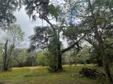 10423 Cheever Road - Photo 39