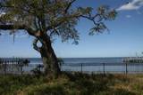 000 Bluff Boulevard - Photo 4