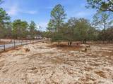 12124 Squeeze Avenue - Photo 70