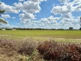 10010 Fort King Road - Photo 8