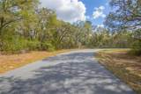 8743 Sandree Drive - Photo 2