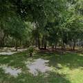 34027 Congressional Avenue - Photo 6