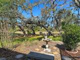34485 Cedarfield Drive - Photo 77