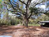 22397 Mondon Hill Road - Photo 5