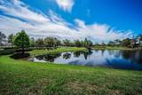 11891 Frost Aster Drive - Photo 79