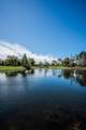 11891 Frost Aster Drive - Photo 80