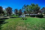 11891 Frost Aster Drive - Photo 91