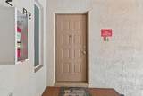 13103 Cypress Hill Drive - Photo 12