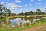 13103 Cypress Hill Drive - Photo 43