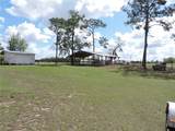 28448 Wildlife Lane - Photo 10