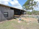 28448 Wildlife Lane - Photo 13