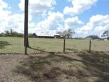 28448 Wildlife Lane - Photo 17