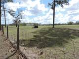 28448 Wildlife Lane - Photo 18