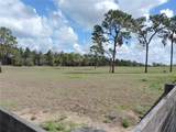 28448 Wildlife Lane - Photo 19