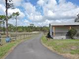 28448 Wildlife Lane - Photo 26