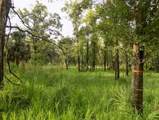 5001 Whippoorwill Drive - Photo 3