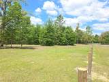 9484 Spirit Woods Trail - Photo 18