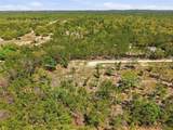 13331 Haven (Lot 4) Trail - Photo 10