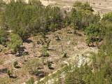 13331 Haven (Lot 4) Trail - Photo 13