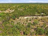 13331 Haven (Lot 4) Trail - Photo 20