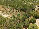 13331 Haven (Lot 4) Trail - Photo 7