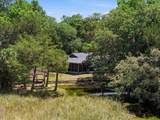 8979 White Dogwood Drive - Photo 20