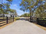 18354 Monteverde Drive - Photo 6