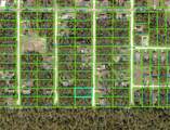 13415 English Parrot Road - Photo 3