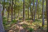 3071 Bolt Drive - Photo 43