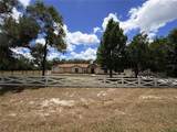 5085 Bone Lane - Photo 9