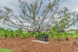 10426 Mount Dora Street - Photo 43