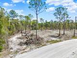 12268 Finwick Drive - Photo 2