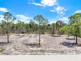 12278 Finwick Drive - Photo 4